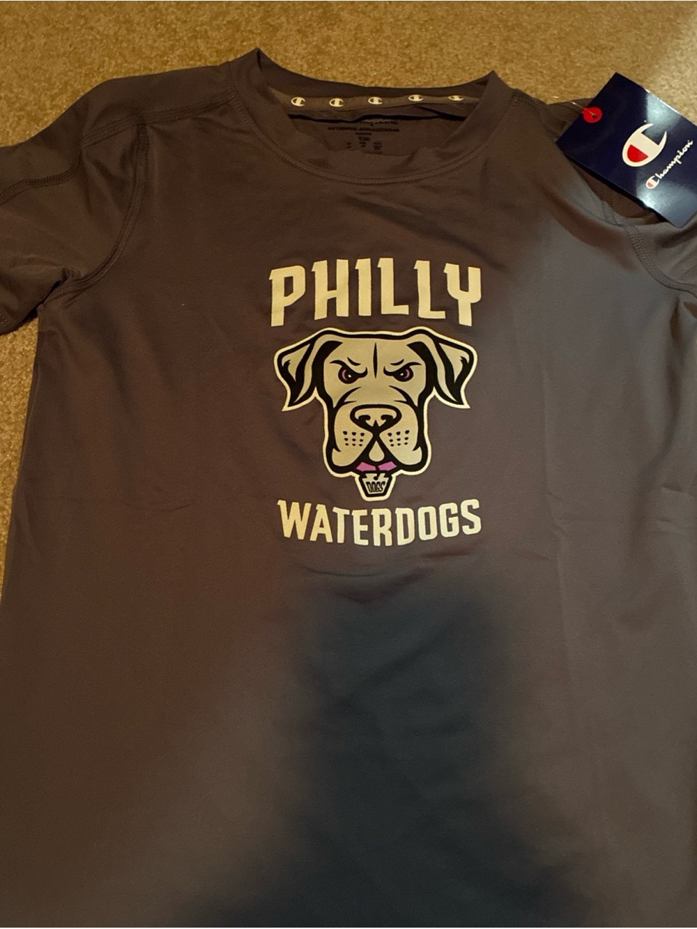 Champion  Gray Philly Waterdogs Performance Dog Tee youth